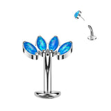 Titanium Threadless Floating Convex Base 4 Marquise Opal Fan Belly Button Ring