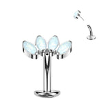 Titanium Threadless Floating Convex Base 4 Marquise Opal Fan Belly Button Ring