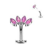 Titanium Threadless Floating Convex Base 4 Marquise Opal Fan Belly Button Ring