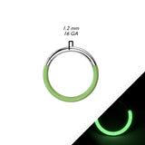 Titanium Hinged Segment Hoop Ring Front Glow in the Dark For Nose Septum Cartilage