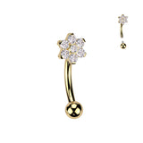 Titanium Curved Barbell With CZ Flower Eyebrow Ear Piercing