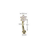 Titanium Curved Barbell With CZ Flower Eyebrow Ear Piercing