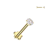 Titanium Prong Set CZ & Flower Base Back Labret Ear Cartilage Tragus