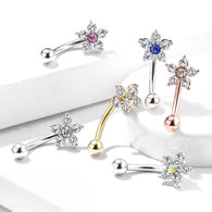 Multi CZ Paved Flower Top Eyebrow Ring Curved Barbells Rook Snug